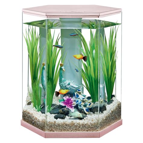 Dec 17, 2023 · Water Temperature:70-77°F. Swimming Level: Midwater. The neon tetra is a classic nano fish that will add amazing color to your 10-gallon tank. This is about the smallest tank size that neon tetras will thrive in, but with great filtration, you can easily keep a group of 6 to 8.